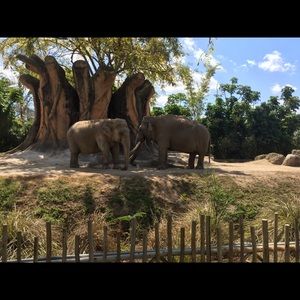 Meet your Posher, Yurima